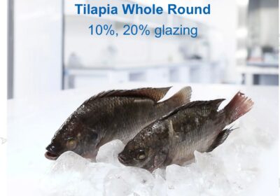 Tilapia-Fish